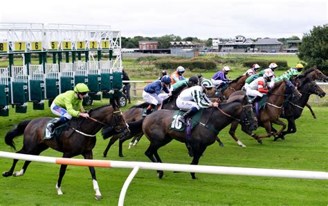 catterick horse racing|horse racing at catterick today.
